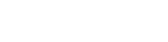 Braun Logo